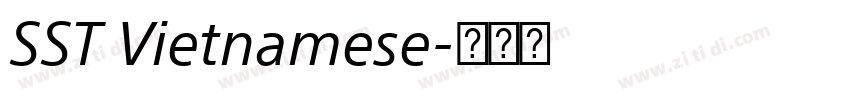 SST Vietnamese字体转换